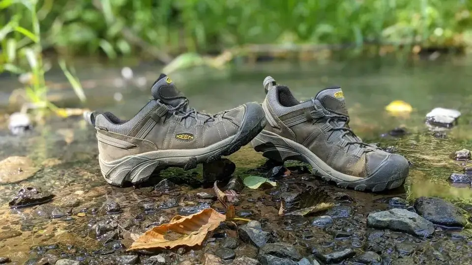 Difference Between Hiking And Trekking Shoes (2023 Guide)